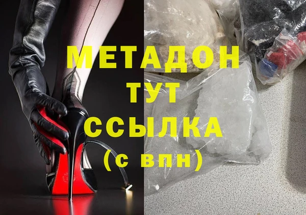 прущие грибы Аркадак
