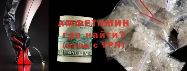 прущие грибы Аркадак