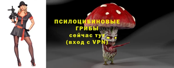 прущие грибы Аркадак