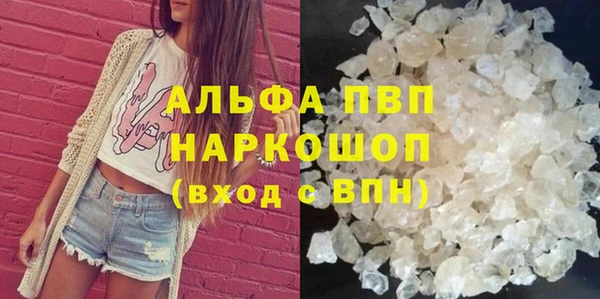 прущие грибы Аркадак