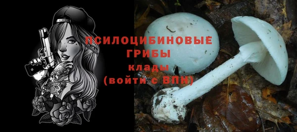 эйфоретик Арсеньев